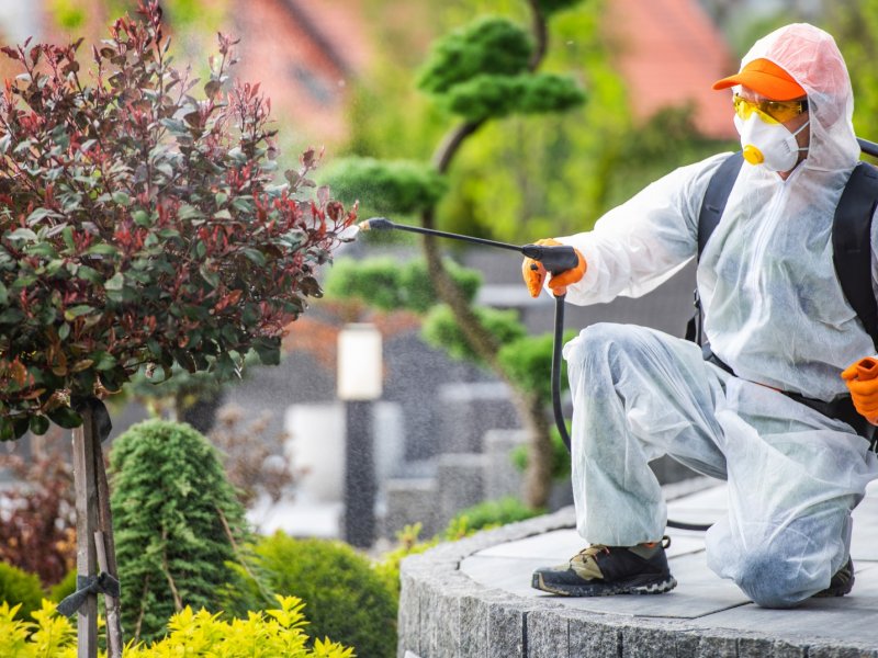 Felahiye Haşere İlaçlama